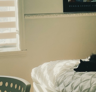 img chat sur un lit
